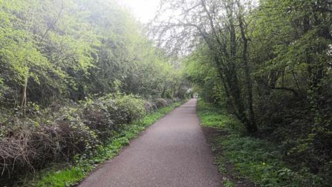 A path which is tarmac with trees and bushes on either side. It is an old railway track.