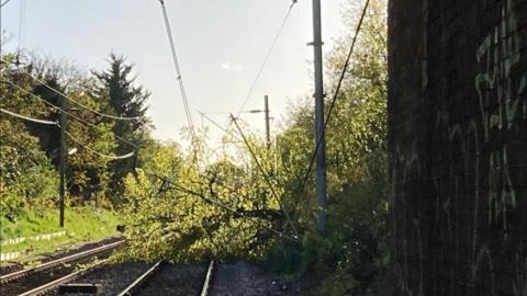 A tree fallen on train tracks and overhead lines have been damaged