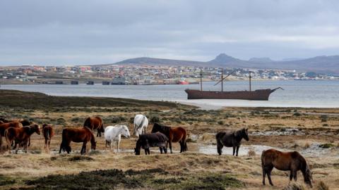 Scenic view of the falkland Islands with grey skies. There are horses in the foreground and Stanley is in the background 