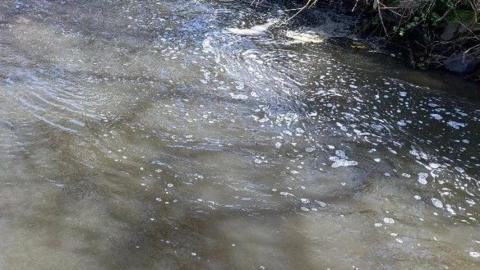Stock image of polluted water. The water is brown and scum floats on top. 