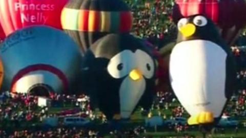 Hot air balloons from 50 countries are taking to the skies in New Mexico.