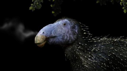 An artist's impression of how Haolong dongi might have looked.