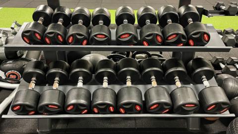 A row of dumbbells