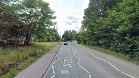 A stretch of a road lined with trees.
