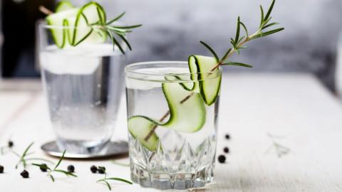 A clear glass tumbler with a clear gin and tonic in it. The drink also features a sliver of cucumber on a stick made from a rosemary stem.
