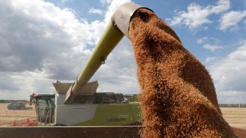 A combine harvester loads a truck with wheat in a field near the village of Hrebeni in Kyiv region, Ukraine July 17, 2020.