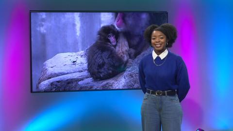 Emma-Louise on the Newsround set