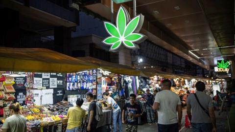 Illuminated neon green cannabis leaf sign a the Patpong Night Market central downtown Bangkok.