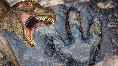 Dinosaur next to a footprint