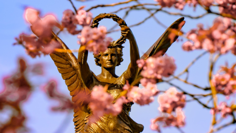  A statue of angel partially obscured by cherry blossom in Glasgow. The angel is bronze and is holding a circular wreath slightly above its head. There is pink blossom in the foreground which is partially blurred.