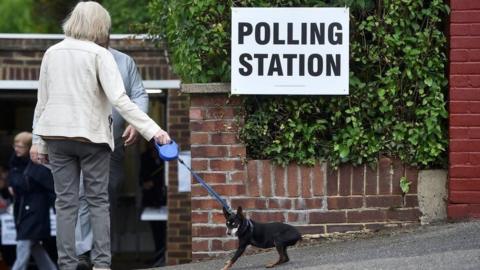 We see the back of a woman with white hair in a bob style wearing a white jacket and grey trousers as she holds the blue lead tied to a small, black dog. In front of her is a short brick wall with a hedge above and, on the hedge, a white rectangular sign with, in black text, "Polling Station" on it.