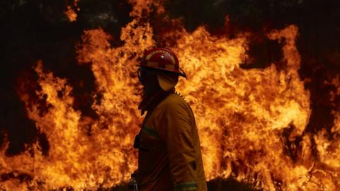 Silhouette of a firefighter against a wall of flames