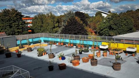 Rooftop garden