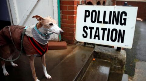 A dog is pictured at a polling station, next to a placard saying "polling station".