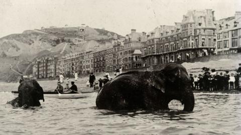 The photograph Mixed Bathing in Aberystwyth by Arthur Lewis