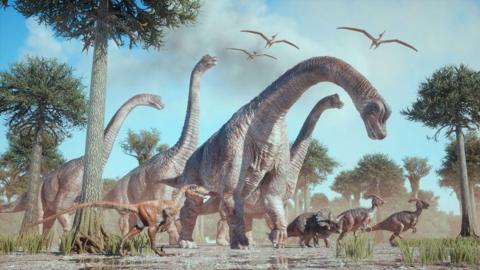 An illustration of different dinosaur species.