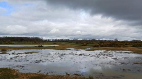 WEDNESDAY - Greenham Common today.