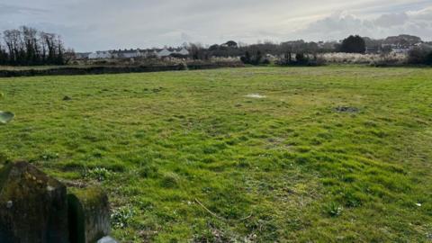 A green field. In the background are white houses. The sky is grey and cloudy with some sunshine. 