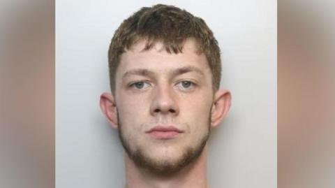 Strachan stands against a plain, light‑coloured background. He has short, light brown hair that is neatly trimmed. His ears are visible, and he is wearing a simple light grey crew‑neck shirt.