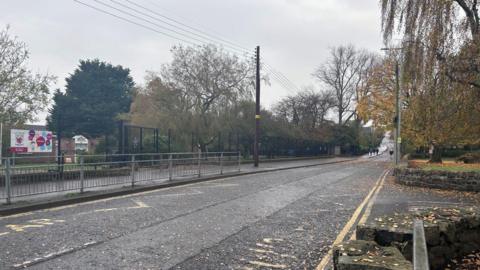 A shot of Station Road in Antrim, the road is covered in leaves and there is a 
footpath with metal barriers on either side.