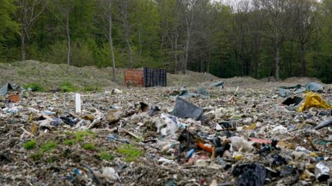 A widespread mound of rubbish on open land with part of Hoads Wood in the background