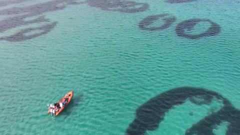 Cearcaill de bhilearach-mhara ann an Caolas Bharraigh