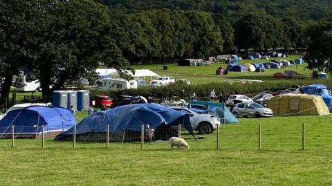 A pop-up campsite on a farm. Tents can be seen across two fields, with another field with sheep inside it behind a fence. There are large trees surrounding the fields.