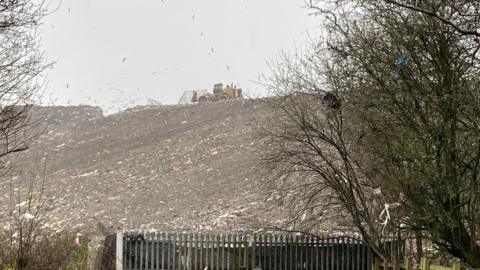In the foreground there's the top of a metal fence and a tree to the right hand side. In the background there's a large hill of grey material taking up most of the picture. On the top there is a yellow digger and there are seagulls flying above the mound.