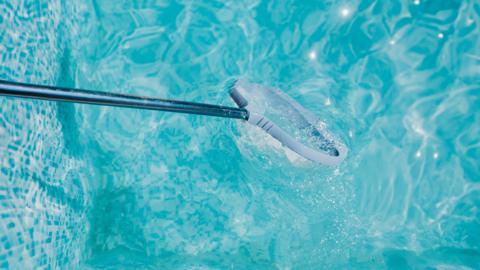 A large oval shaped net is scooping the water which is in a swimming pool. The walls of the pool are made of tiles which are small squares made up of different shades of blue.