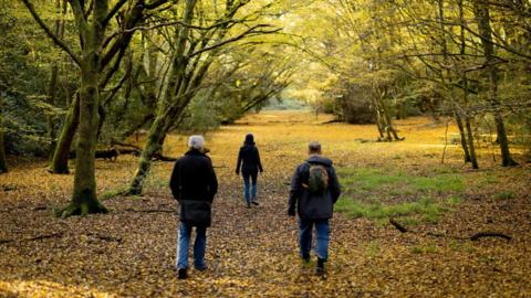 Three people walking through Epping Forest during autumn. There are lots of orange and yellow leaves on the floor and they are surrounded by trees.