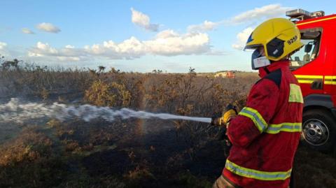 Firefighter holding hose spraying water onto a fire at a large area of heathland in the New Forest.