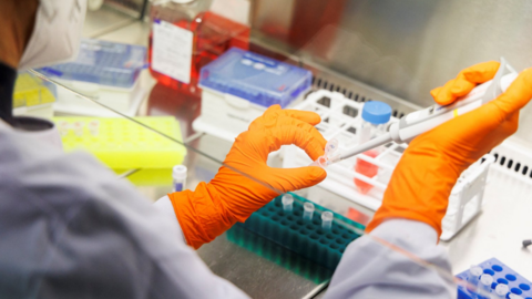 A person wearing orange rubber gloves fills a test tube with the contents of a syringe. There are boxes of text tubes on the table in front of the person