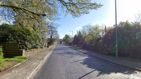 A street with green trees, street lights, and a main road running through the middle.