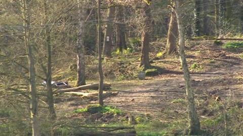 Trees felled at Haytop Country Park