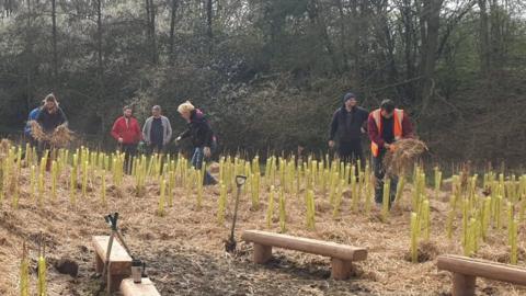 Witney’s Tiny Forest at the end of planting day, March 2020