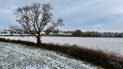 A field dusted with snow with hedgerows, a large tree off centre and more in the background under a cloudy sky