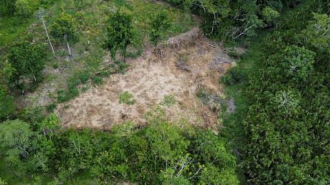 Aerial view of deforested area at the Amazon jungle of Puerto Asis rural area, department of Putumayo, Colombia, on November 6, 2021, in the framework of the pact "Amazonia Viva" for the defense of the Colombian Amazon jungle. - The environmental authorities of Colombia and the National Environmental System signed the pact "Amazonia Viva" an effort of national articulation to strengthen the fight for the protection of the Amazon rainforest