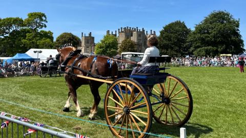 A woman on a cart pulled by a horse at the Sherborne Castle Country Fair. Crowds are cheering behind fences and the castle is seen in the distance. It is a sunny day.