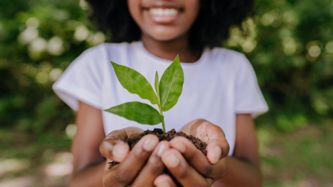 Girl holding a plant