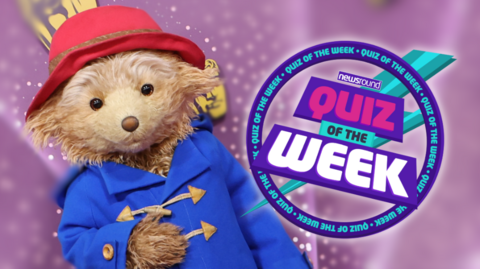 Paddington Bear with the Quiz of the Week logo.