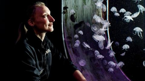 Current Jellyfish Supervisor Amy German looking at a tank of jellyfish