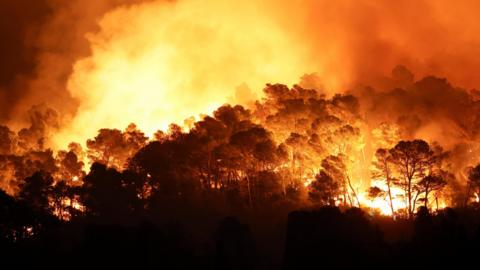 Trees burn during a wildfire near in Saint-Laurent-de-la-Cabrerisse.