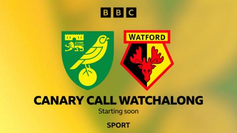 Norwich v Watford graphic