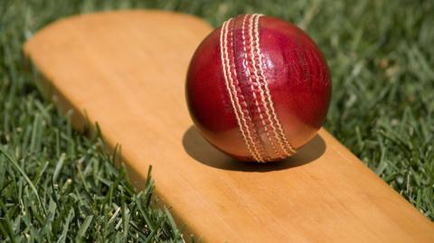 Stock image of cricket bat and ball