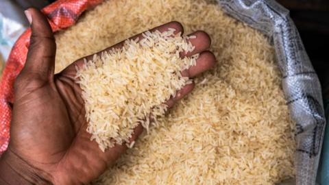 A palm scoops grains of rice up from a large sack 