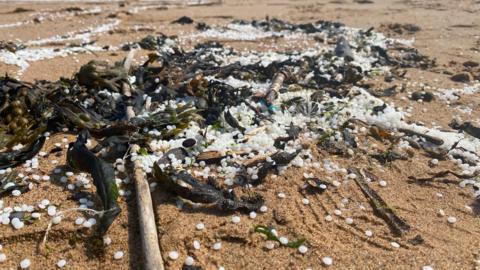 Small, white nurdles in a pile on some wet sand, mixed in with sticks, seaweed and rocks. There are similar piles around this large one, with the nurdles strewn across the sand.