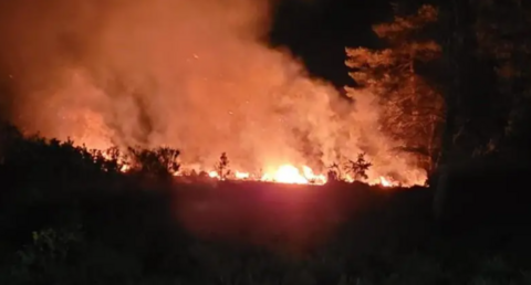 A large fire on heathland can be seen just metres away. It illuminates the otherwise dark night sky.