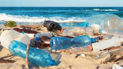 Rubbish on a beach