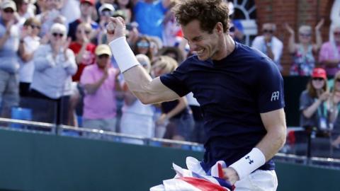 Andy Murray celebrates Davis Cup win