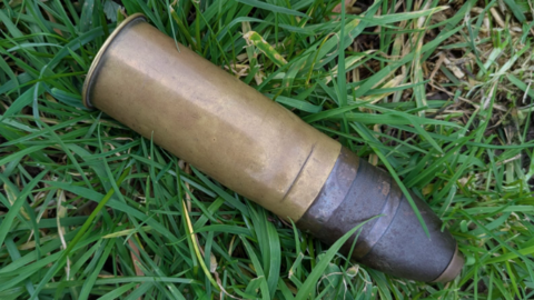 A complete artillery shell rests on long grass